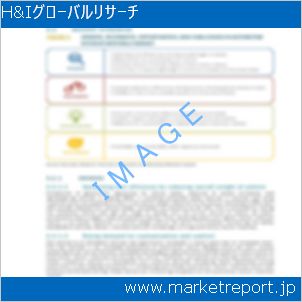 市場と産業調査レポートのイメージ